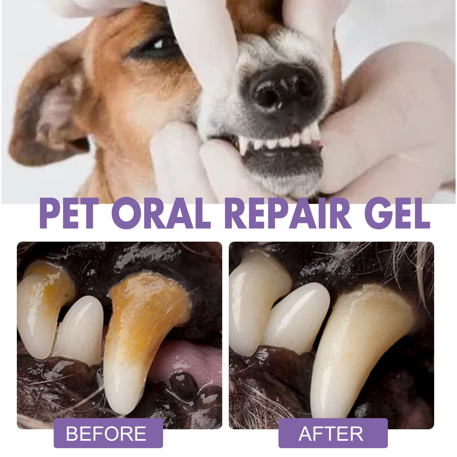 Pet Oral Repair Gel Puppy Tart - Teeth Whitening Ulta ulasan dan harga